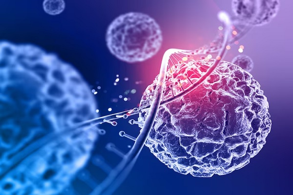 stem cells and DNA strands
