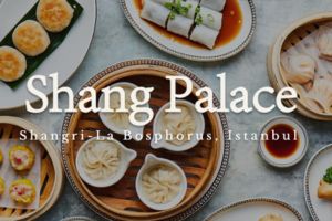 Shang Palace chinese restaurants in istanbul