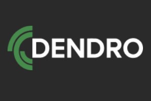 dendro parquet companies turkey