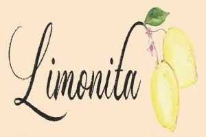 Limonita vegetarian restaurant in istanbul