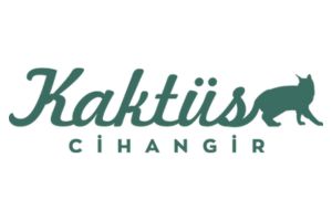 Kaktüs Cihangir Persian restaurants in istanbul