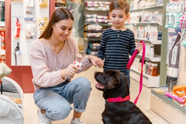 Best Pet Store In Istanbul