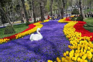 İBB Emirgan Grove parks in Istanbul