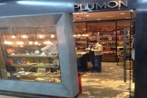 Plumon 