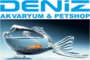 Deniz Akvaryum & Pet Shop