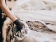 Top 3 best car washes in Istanbul, Turkey