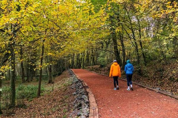 Belgrad forest