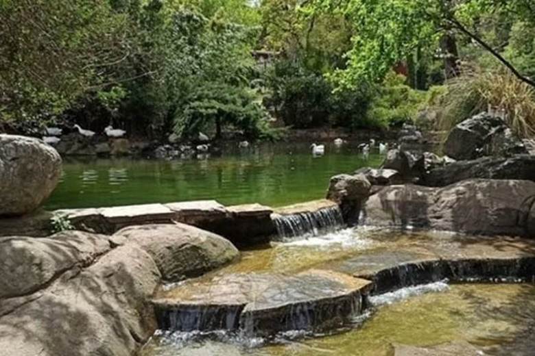 Kucuk Camila korusu park