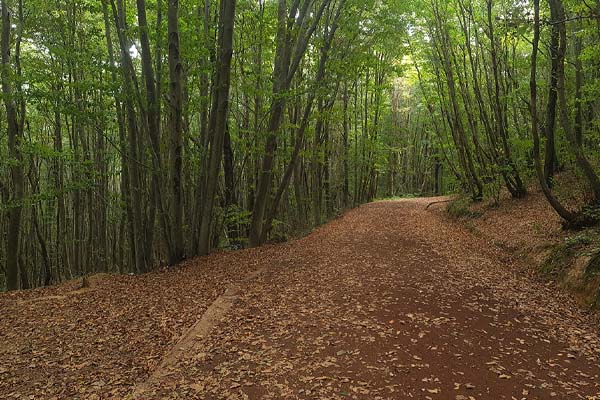 Polonezkoy tabitat park