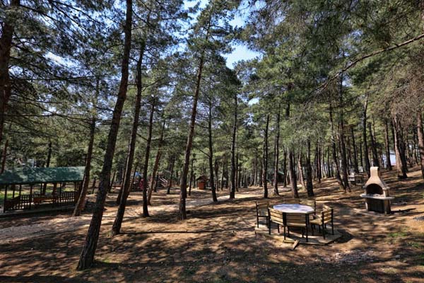 Ataturk forest park