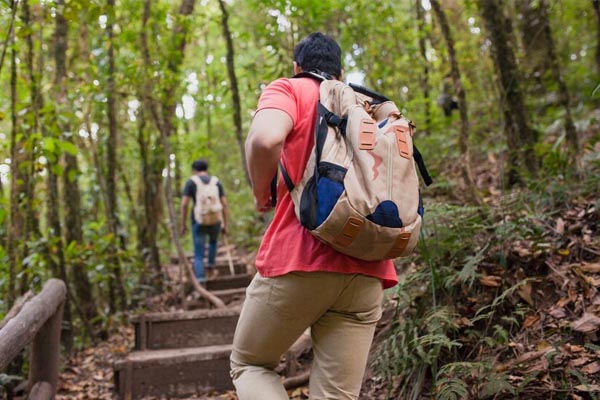 Hikers climbing stairs