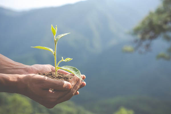 Environmental-conservation-garden-children 