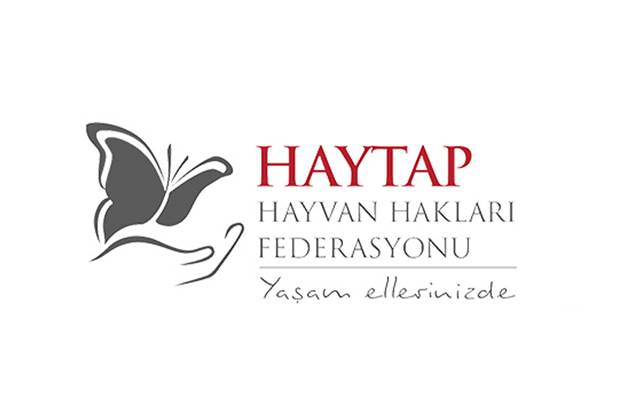 Haytap logo

