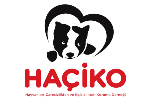 Haciko logo