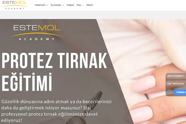 Estemol academy page