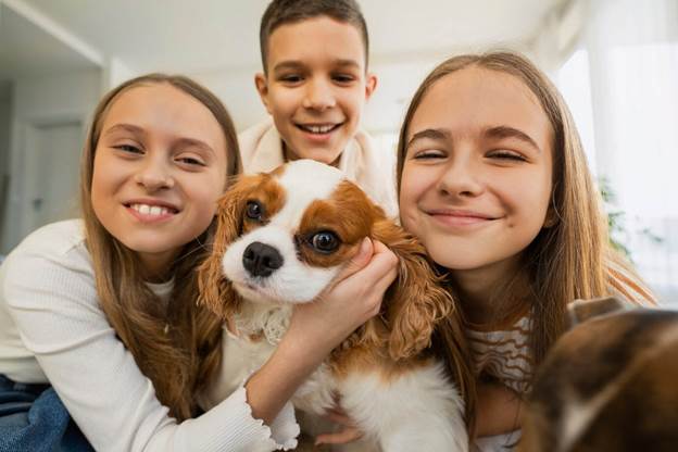 Spending-time-together-dog-house